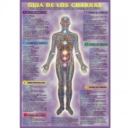 Guide des chakras