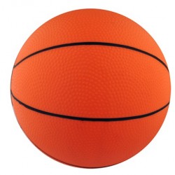 Basket-ball primaire en pvc