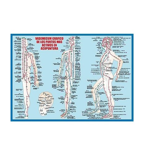 Vademecum Acupuncture