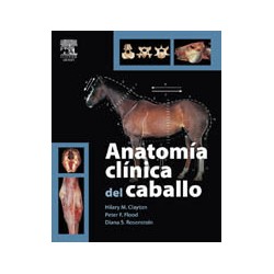 Anatomie clinique du cheval