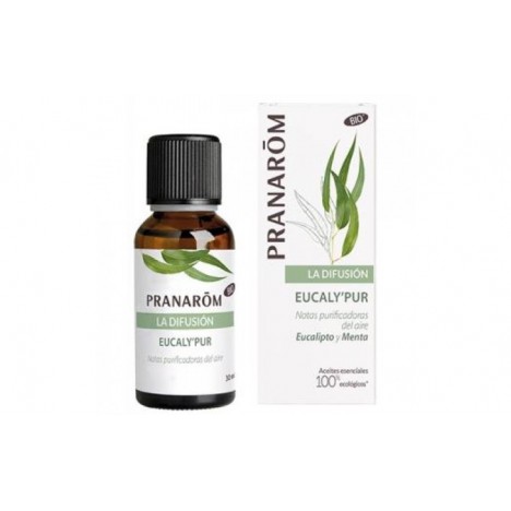 Diffusion d'eucalyptus 30 ml