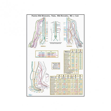 Élément Shu, Yuan, Shu dorsal, points Mu et Luo