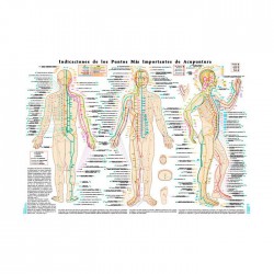 Indications des points les plus importants