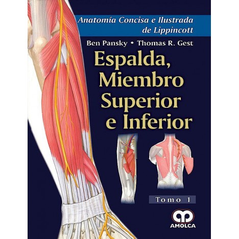 Dos, membres supérieurs et inférieurs (Lippincott's Concise Illustrated Anatomy, Vol. 1)