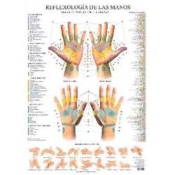 Lamina Reflexología de las manos ***ULTIMAS UNIDADES***